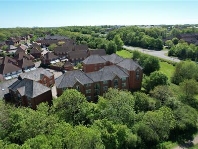 Picture 16
